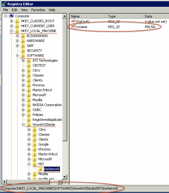 Kerberos Registry Key